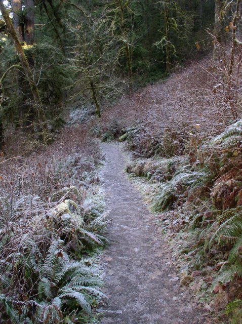 Silver Falls 12.10.05 019 